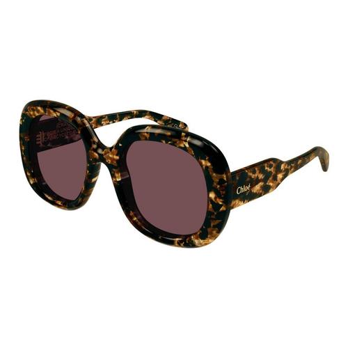 CHLOÉ (太陽眼鏡 )CH0153S-010 54 Amber Brown