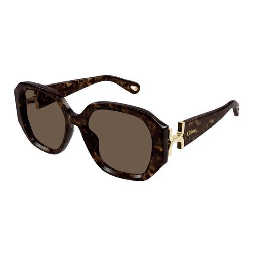 CHLOÉ (太陽眼鏡 )CH0236S-002 56 Shiny Dark Havana
