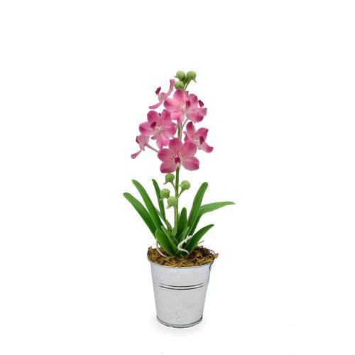 SIAM ORCHID Vanda with Iron Pot Pink