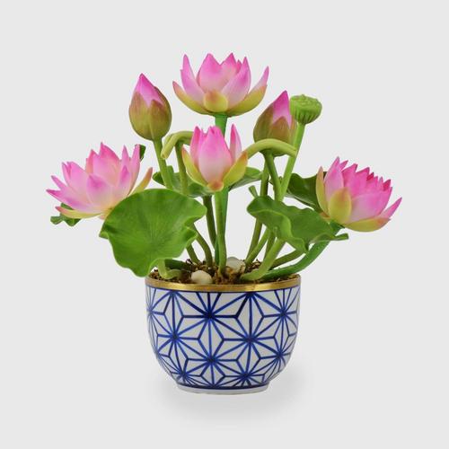 SIAM ORCHID Lotus with Wh Bu Ceramic Pot pink