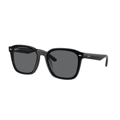 雷朋 RAY-BAN (太陽眼鏡) POLICARBONATE POLARIZED CORE 0RB4392D DARK GREY POLAR 66