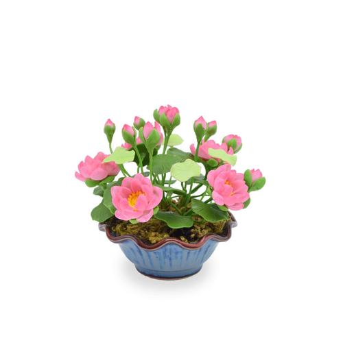 SIAM ORCHID Lotus with Ceramic Pot Pink