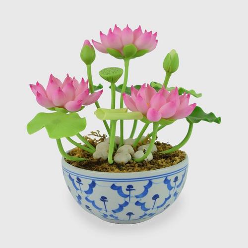 SIAM ORCHID Lotus with Wh Bu Chinese Pot pink
