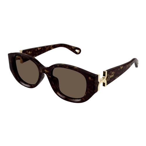 CHLOÉ (太陽眼鏡 )CH0237SK-002 54 Shiny Dark Havana