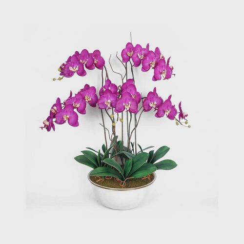 PHALAEN HOUSE  Purple Phalaen Vase - 5 Stems