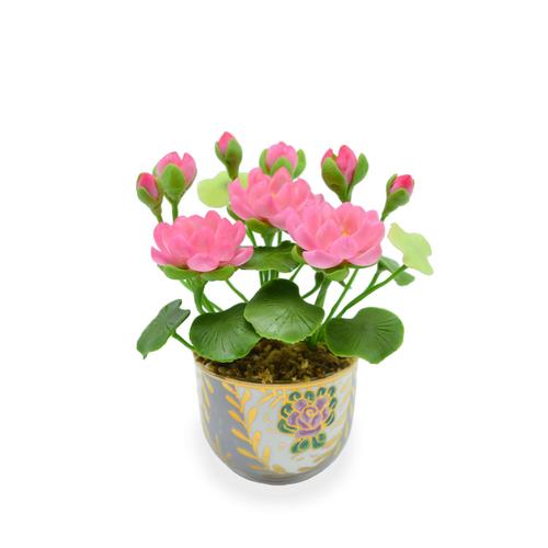 SIAM ORCHID  Mini Lotus with Benjarong  Pot   Pink